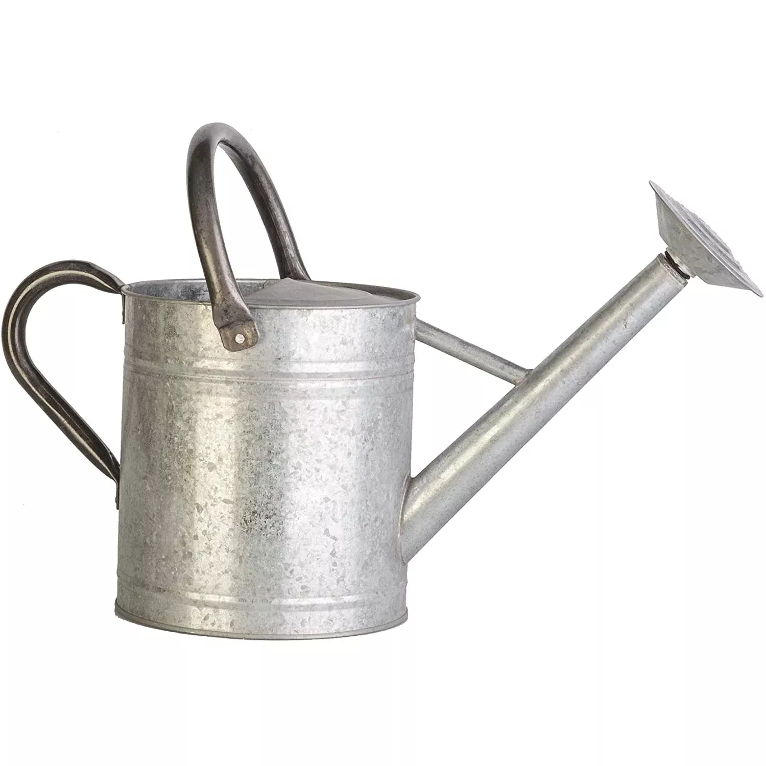 Galvanized Watering Can, 1 Gallon