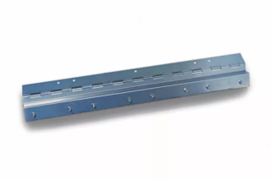 Gangway Hinge