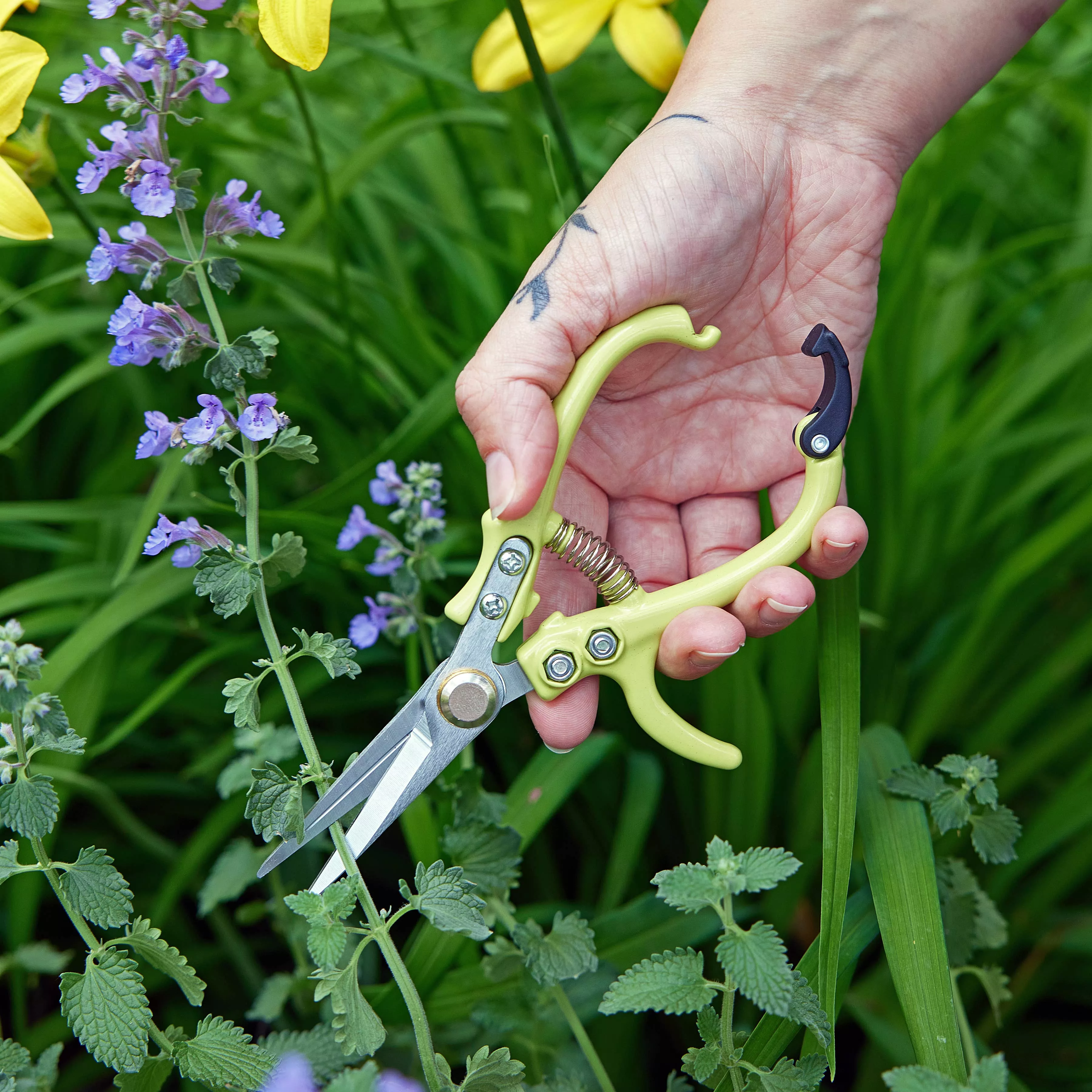 Garden Shears- New Colors!