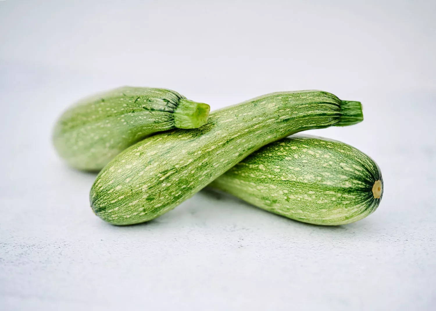 Genovese Zucchini - Summer Squash Seeds - Certified Naturally Grown (CNG)