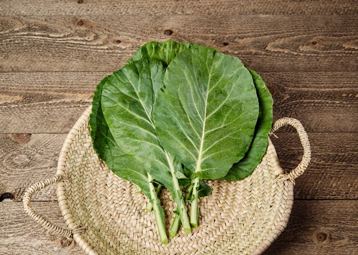 Georgia Southern - Collard Seeds