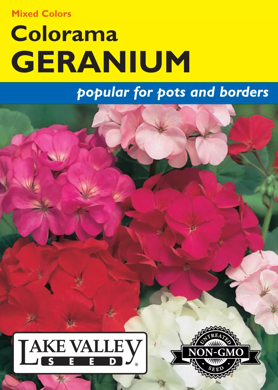 Geranium Colorama Mixed Colors – Item #437