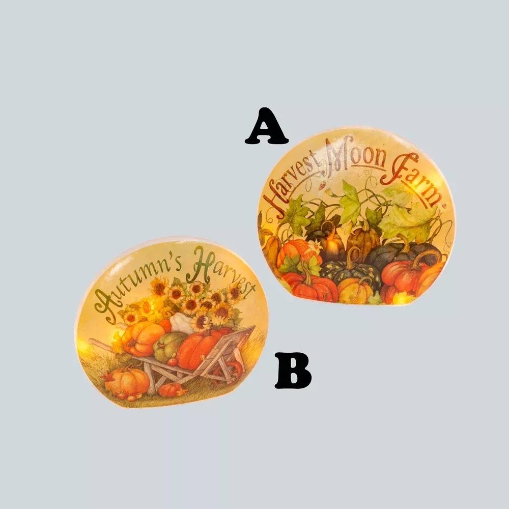 Gerson Company, Electric Lighted Frosted Glass Harvest Luminary Assorted, Glass, 9.1"H