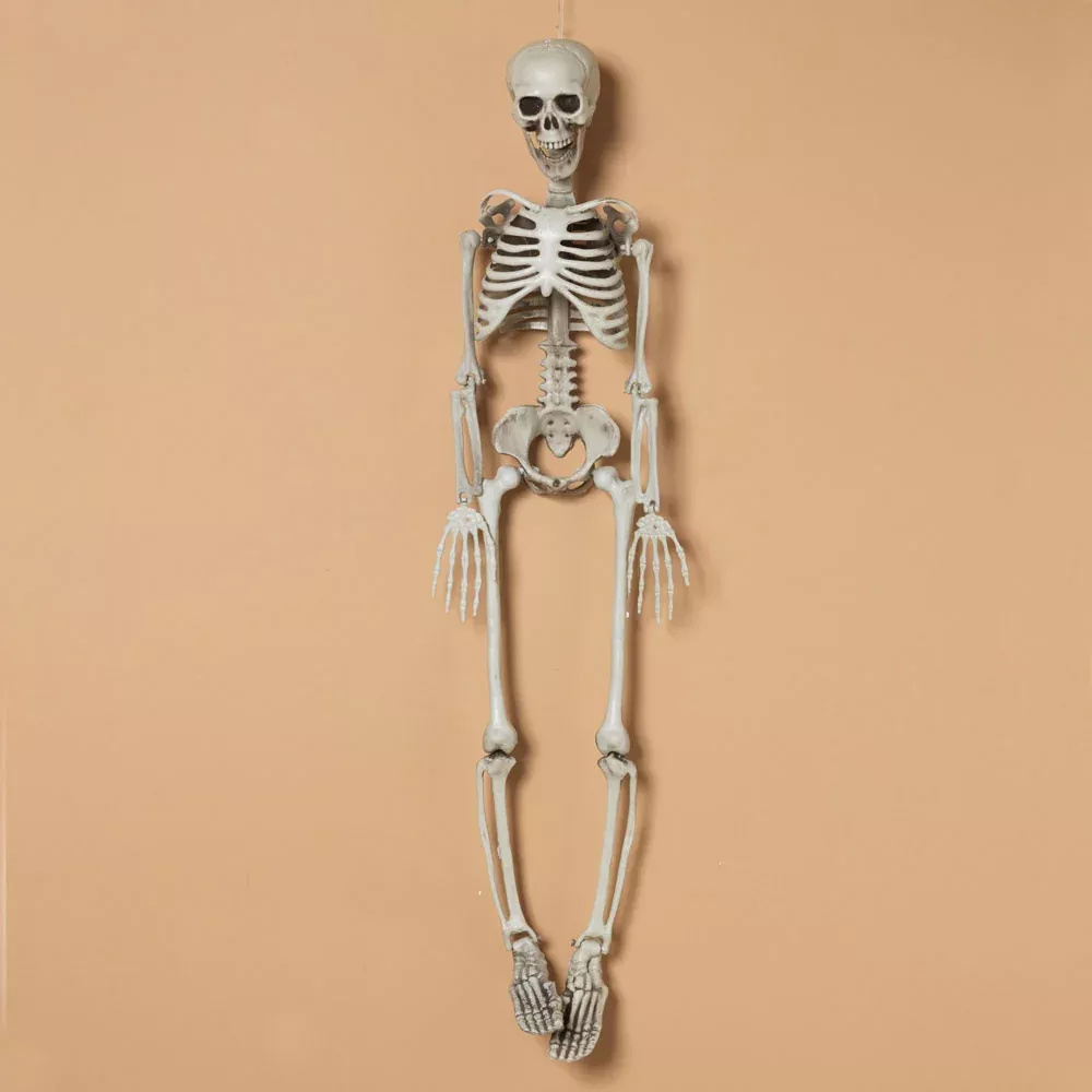 Gerson Company, Hanging Skeleton, Plastic, White, 36.3"H