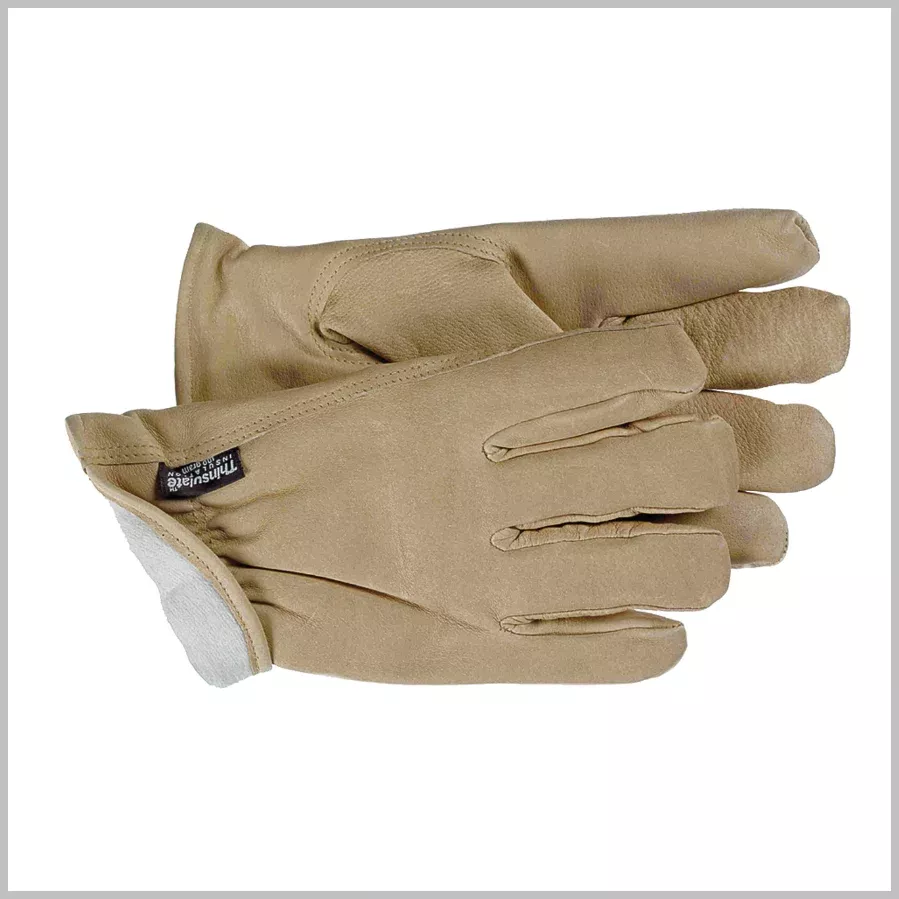 Gloves Pig Skin Thinsulate