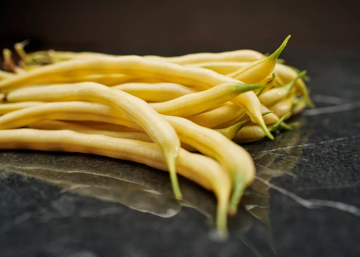 Golden Wax - Organic Bush Bean Seeds