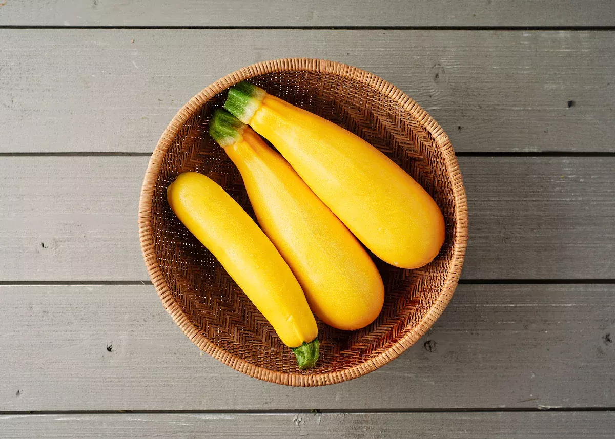 Golden Zucchini - Summer Squash Seeds - Certified Naturally Grown (CNG)