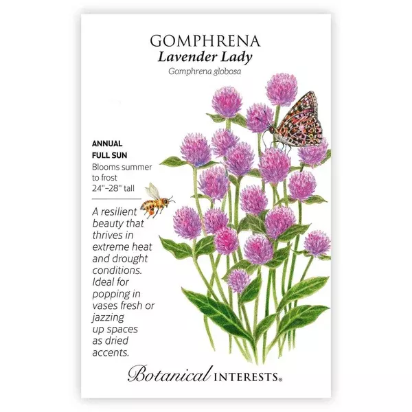 Gomphrena seeds 'Lavender Lady'