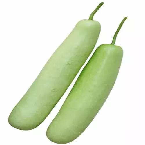 Gourd, Hyotan Long, Seeds