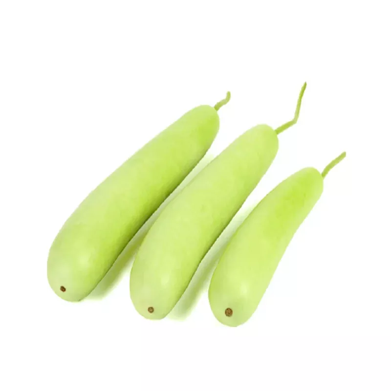 Gourd, Hyotan Short, Seeds