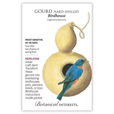 Gourd Seeds