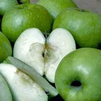 GRANNY SMITH APPLE TREE-Malus domestica 'Granny Smith'Needs Pollinator Zone 5 Chill hrs 400