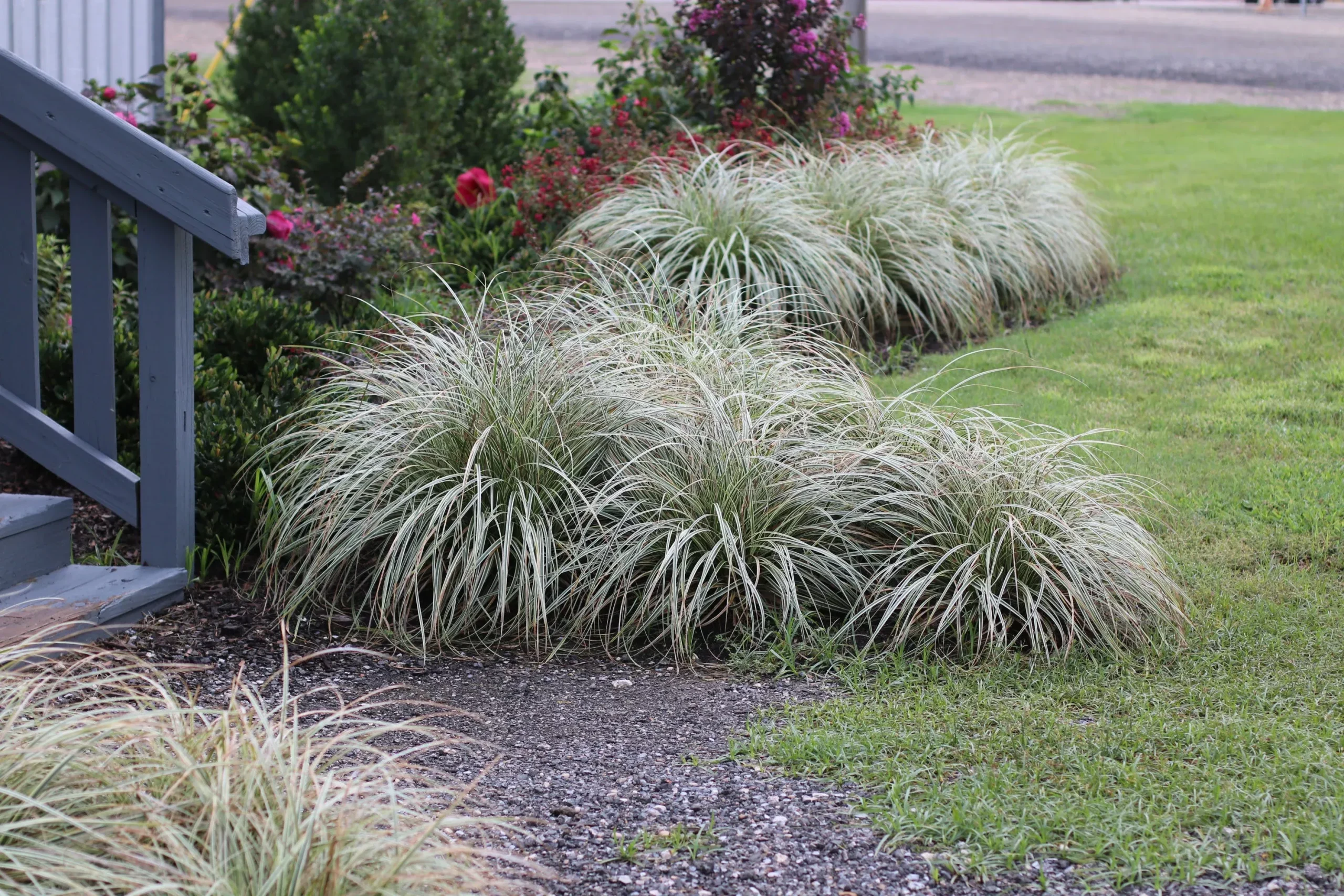 Grass Feather Falls - 2 Gallon
