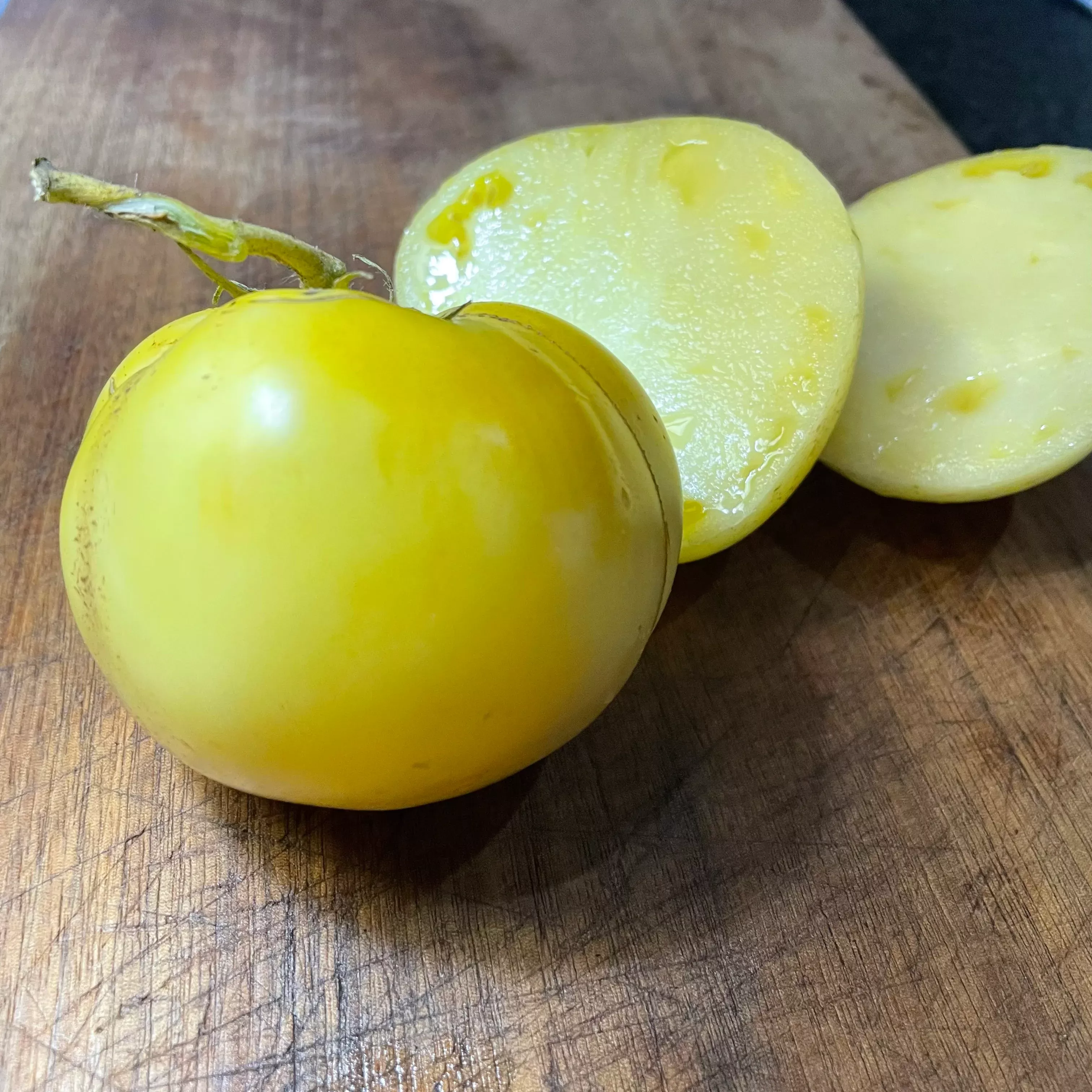Great White - Tomato Seeds