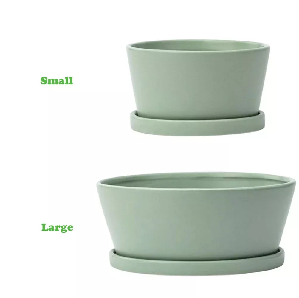 Green Dish Garden With Saucer, Various Sizes | Napco