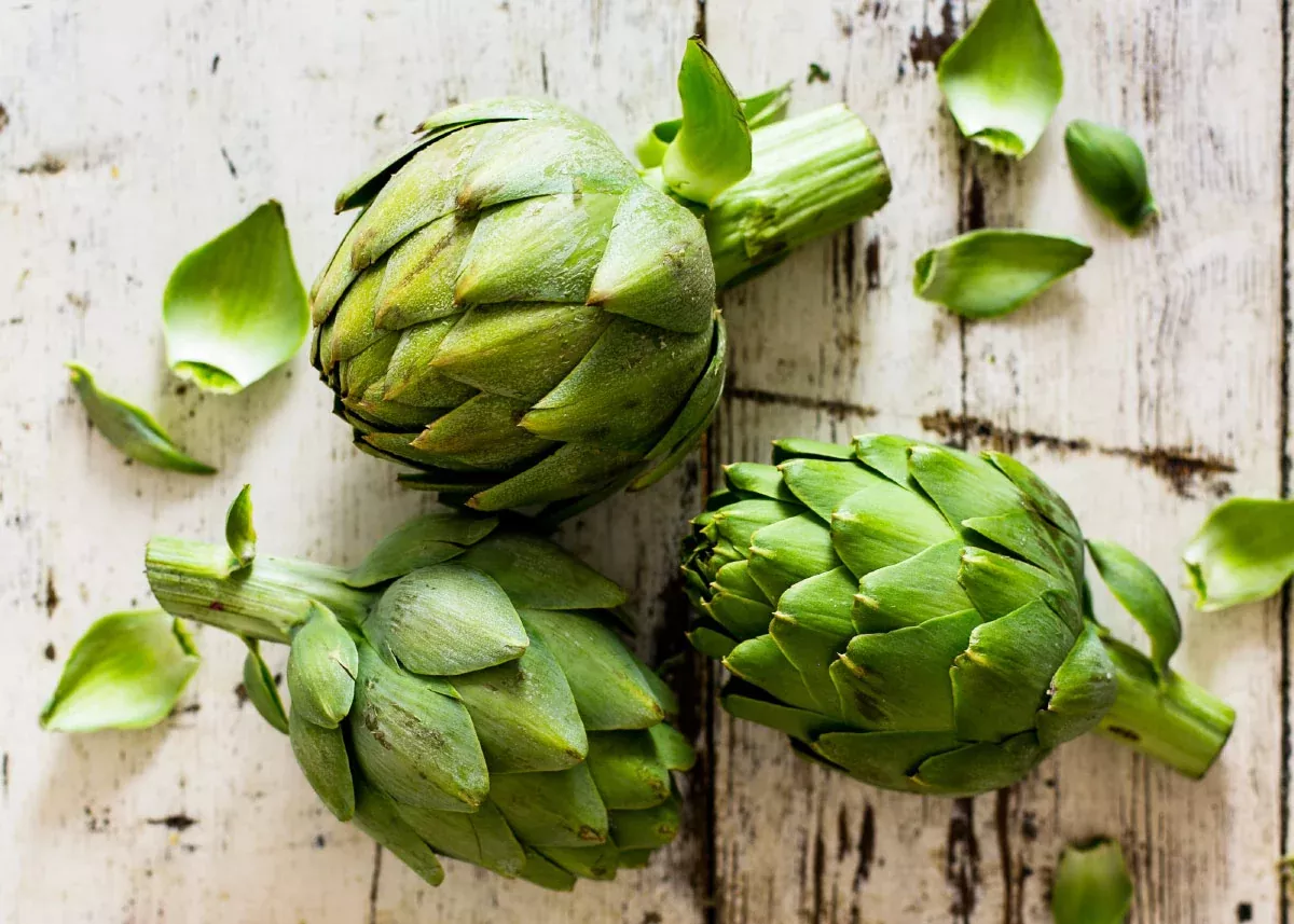 Green Globe - Artichoke Seeds