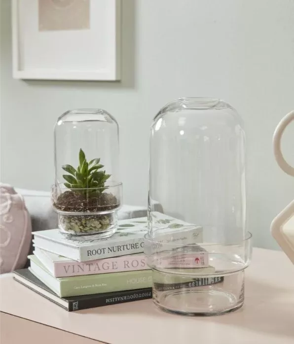 Griffith Terrarium