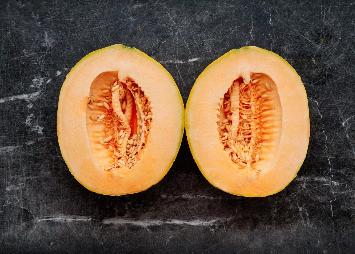 Hale’s Best Jumbo - Organic Melon Cantaloupe Seeds