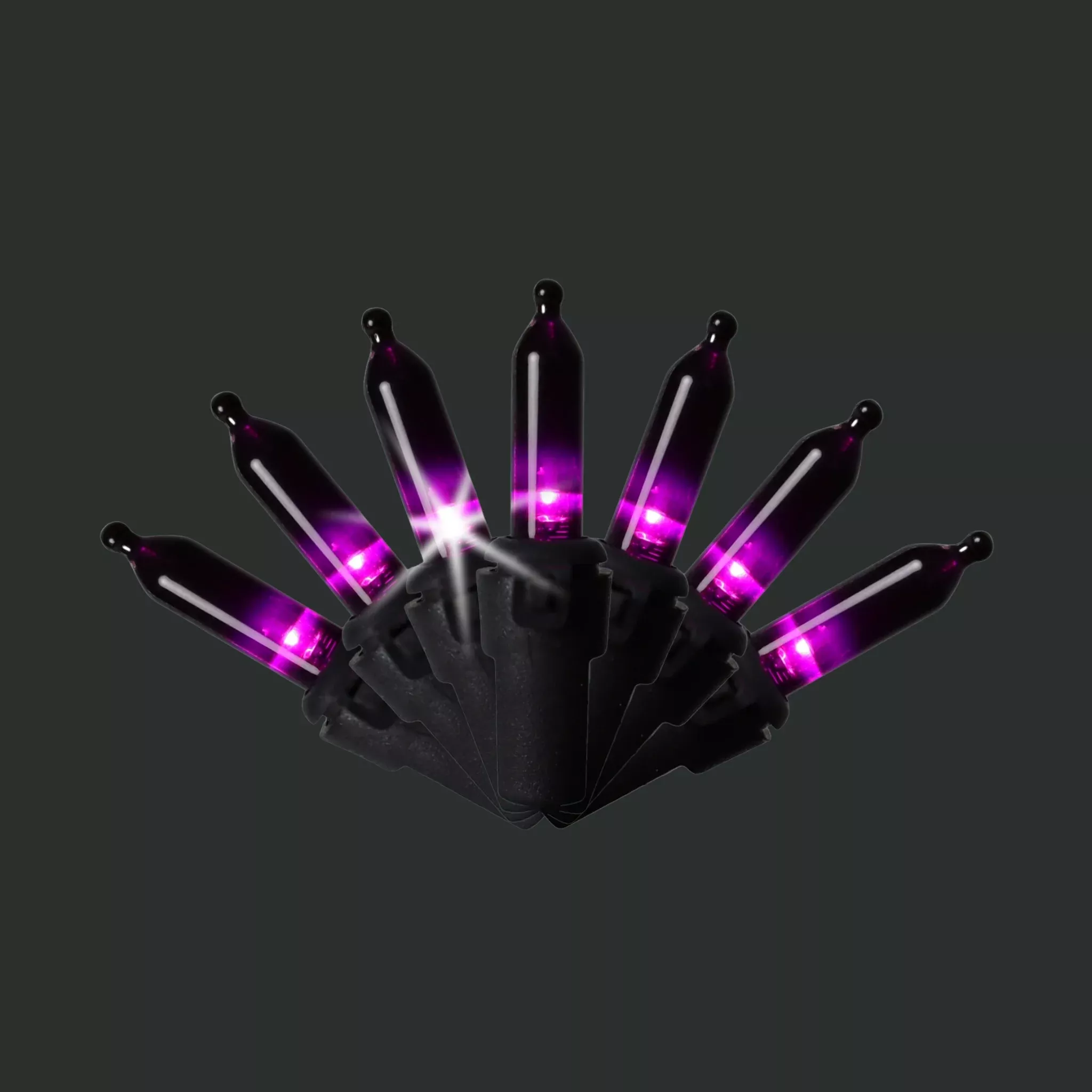 Halloween 100ct T5 LED Light Strand | Purple & Black Strobe | Holiday Bright Lights