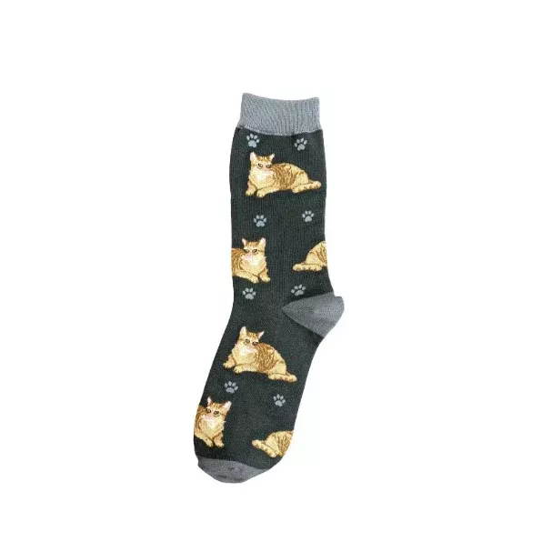Happy Tails Socks- Orange Tabby Cat
