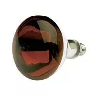 Heat Lamp Bulb -Red 250w