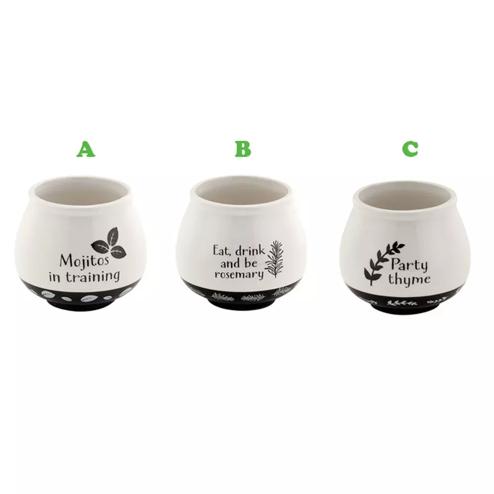 Herbs Witty Planter, Assorted and Sold Separately | Napco