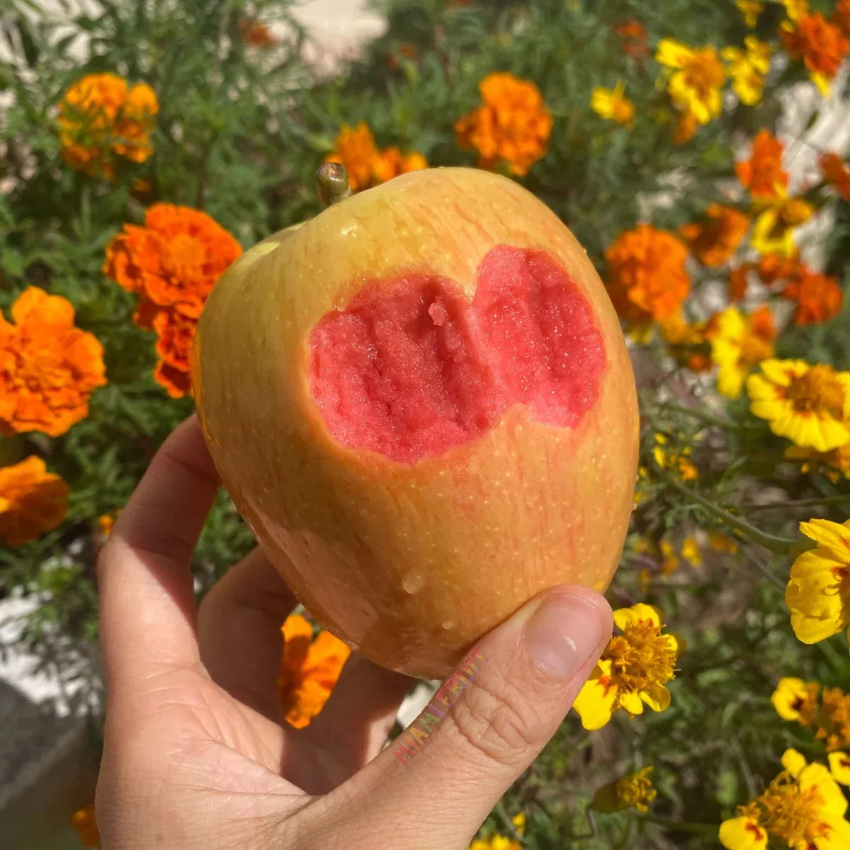 Hidden Rose Apple *Pre-Order*