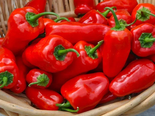 Hinkelhatz Hot Pepper Seeds