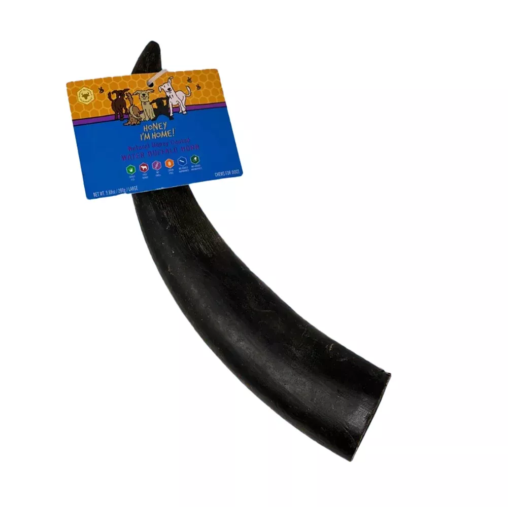 Honey I'm Home, Water Buffalo, Large Horn