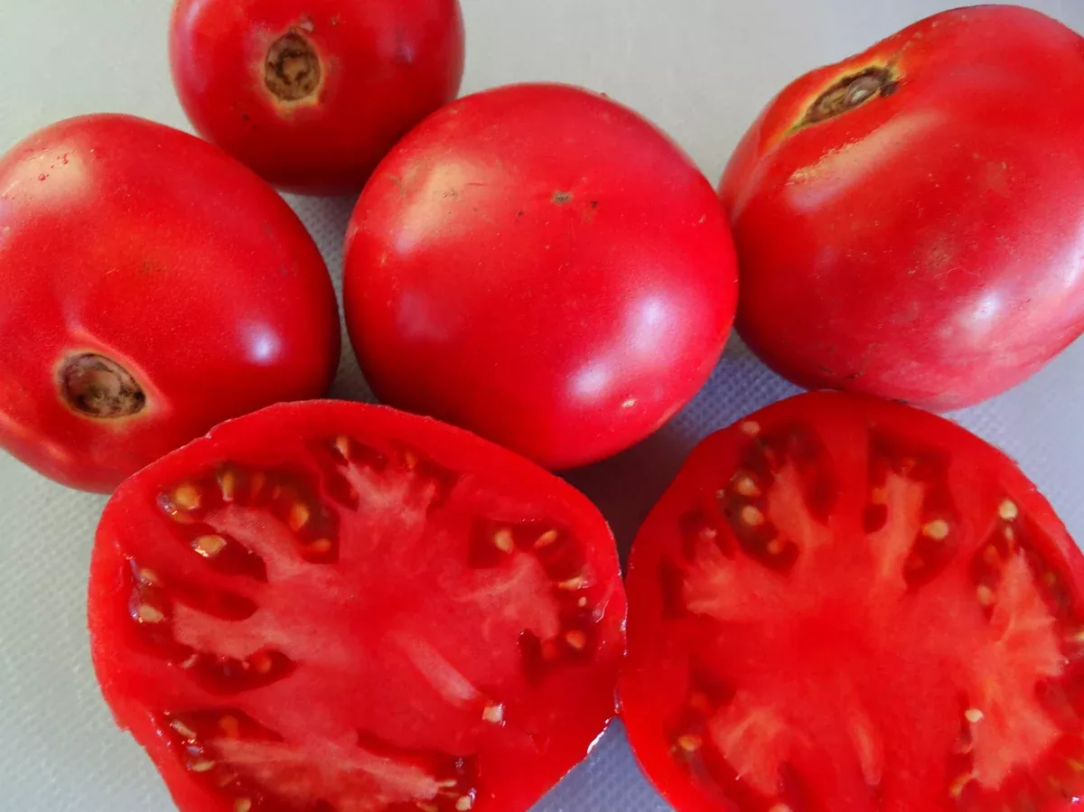 Honey Tomato