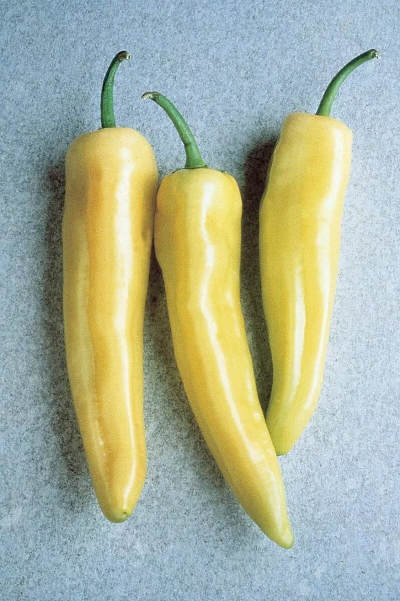 Hot banana peppers- pint