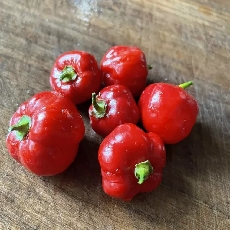 Hot Paper Lantern Pepper Seeds