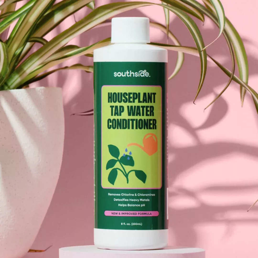 Houseplant Tap Water Conditioner