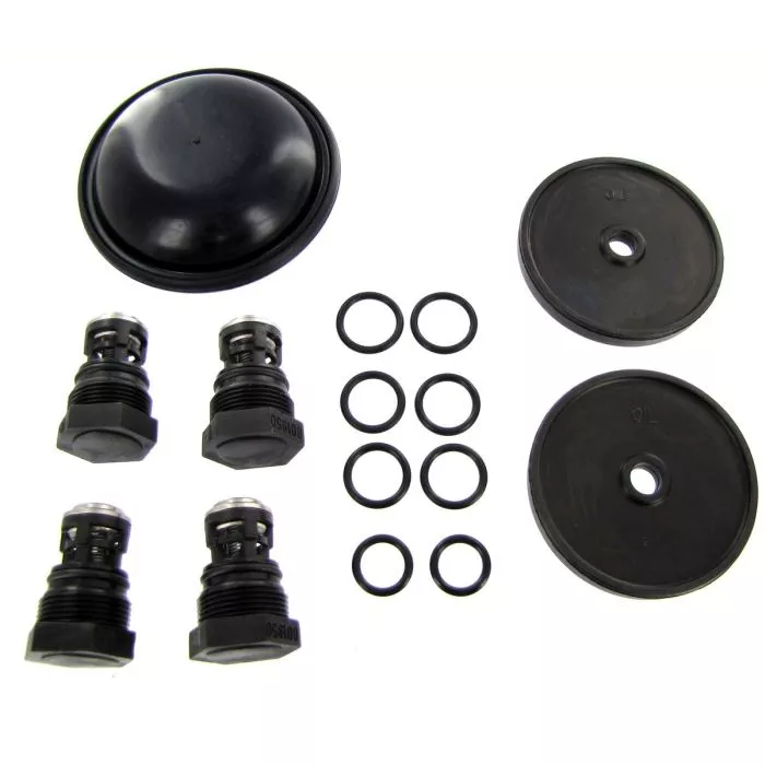 Hypro D252 Buna (Black) Diaphragm Pump Repair Kits