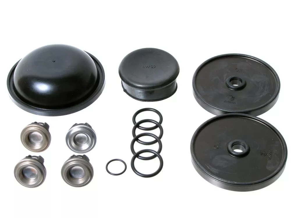 Hypro D30 Buna (Black) Diaphragm Pump Repair Kits