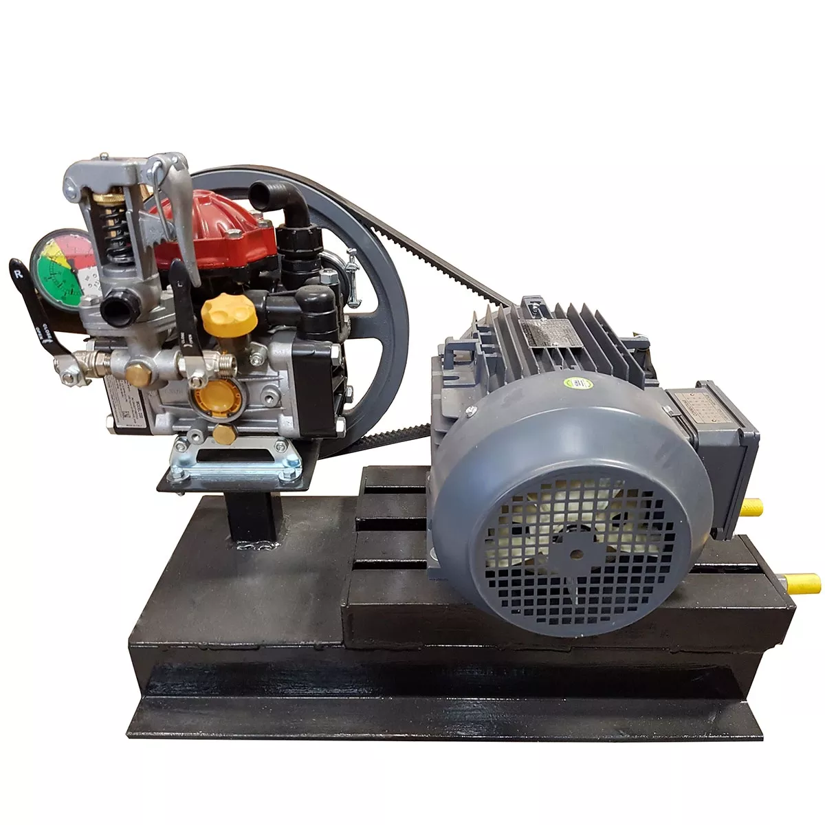 Hypro D30 Diaphragm Pump and Electric Motor Assembly