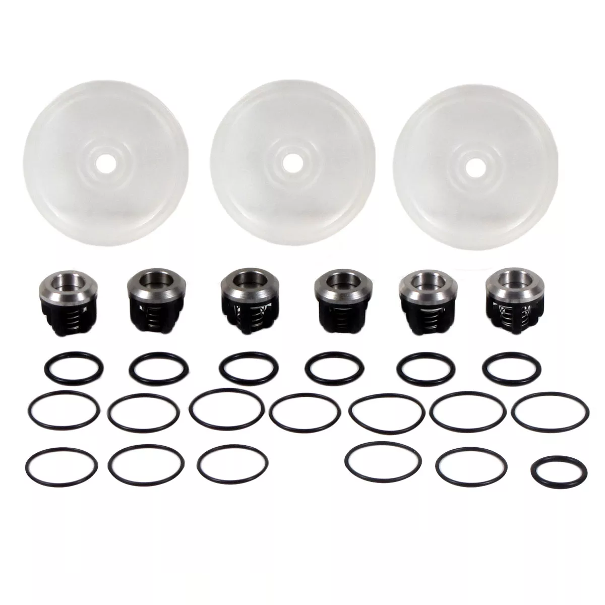 Hypro D403 Desmopan (Clear) Diaphragm Pump Repair Kits