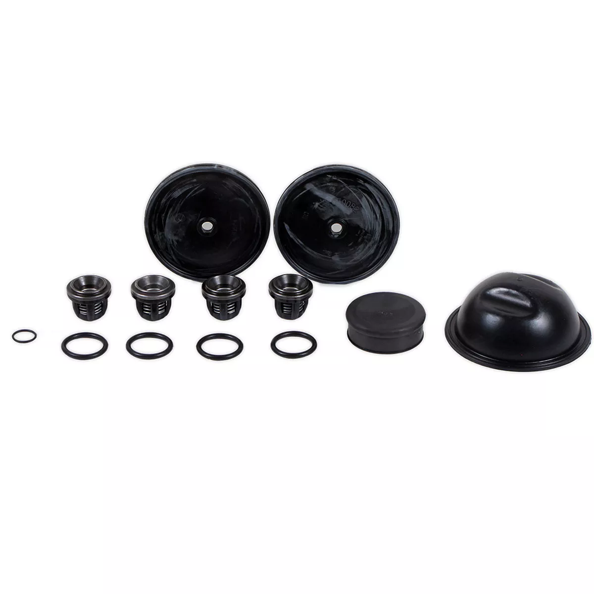 Hypro D50 Diaphragm Pump Repair Kits