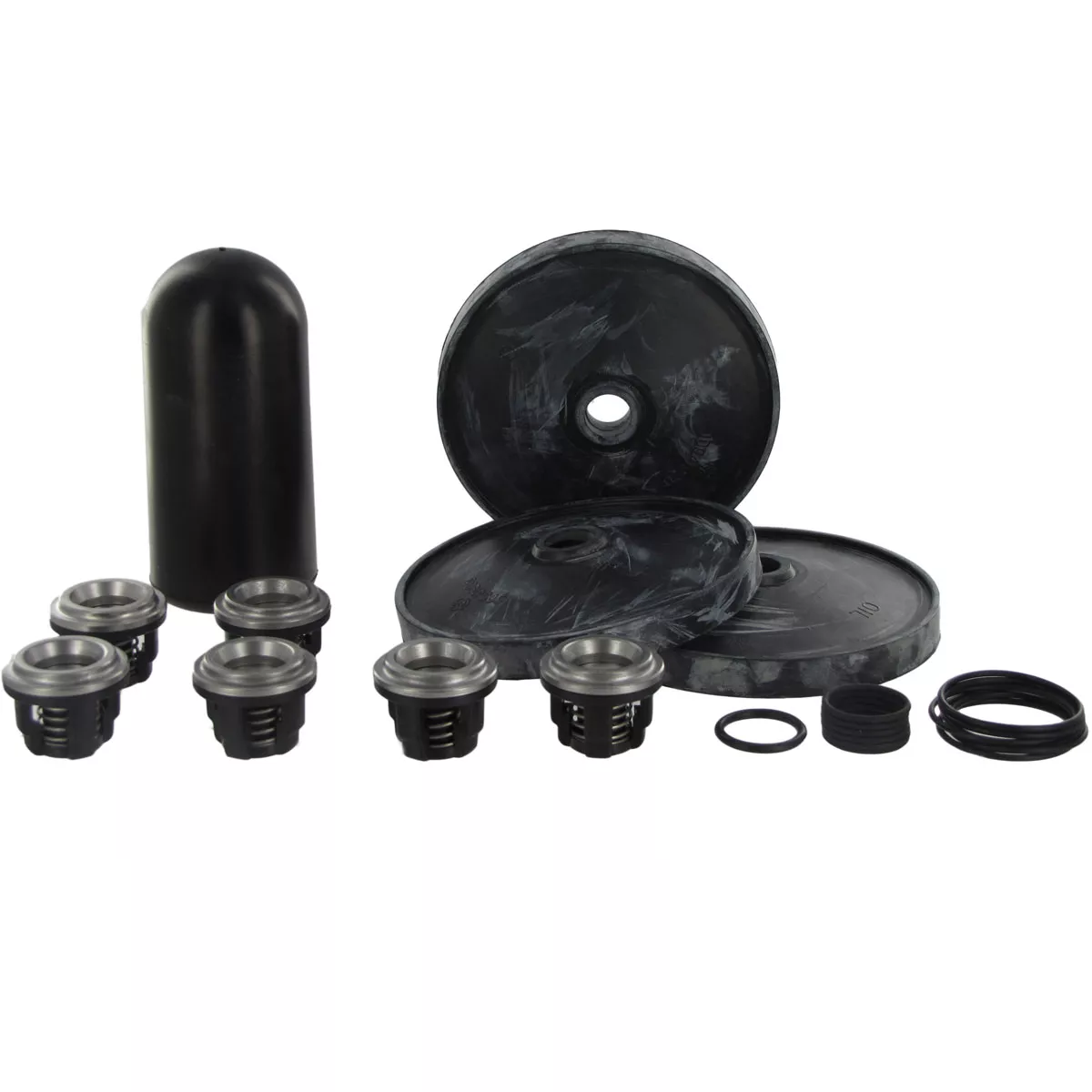 Hypro D813 Diaphragm Pump Repair Kits
