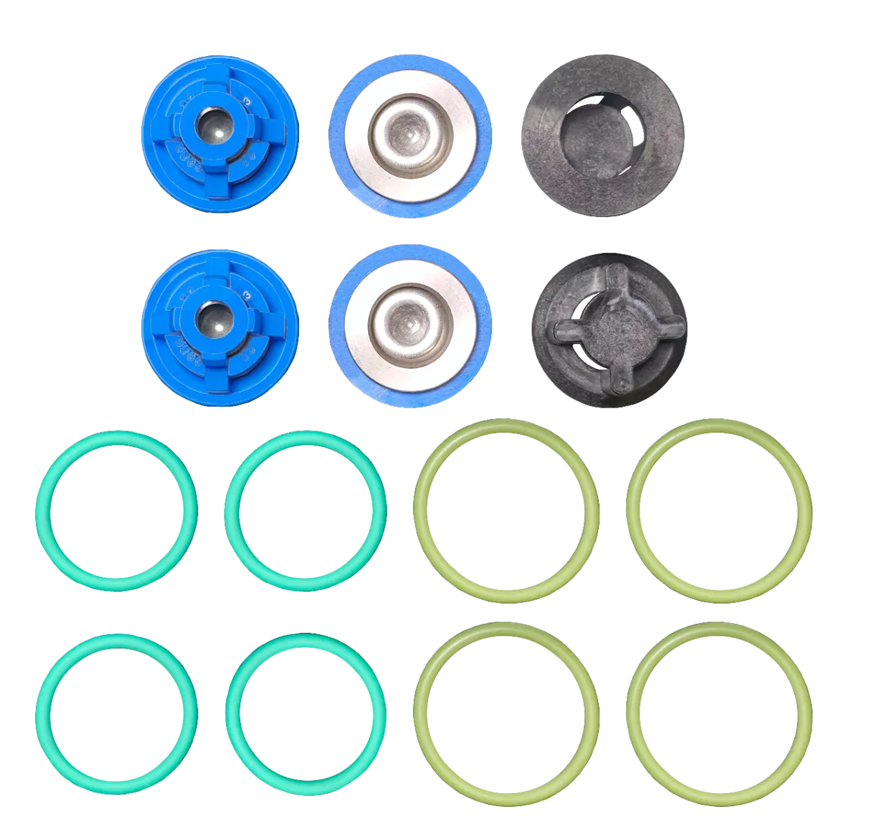 Hypro Repair Kits for DP252 / DP302 Diaphragm Pumps