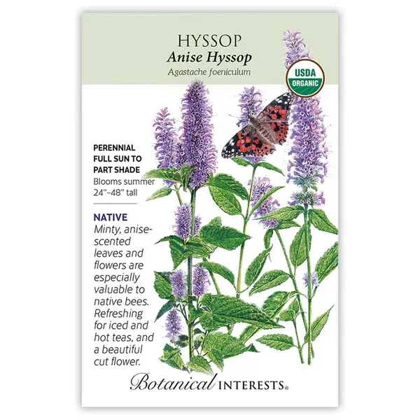 Hyssop seeds 'Anise'