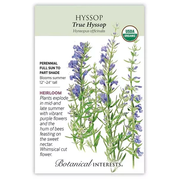 Hyssop Seeds 'True'