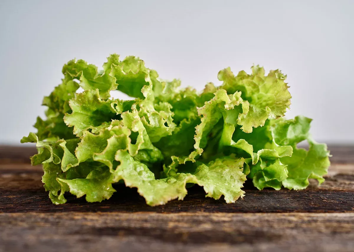 Iceberg - Lettuce Seeds