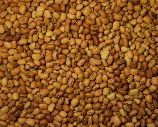 Iron & Clay Cowpeas 50# bag