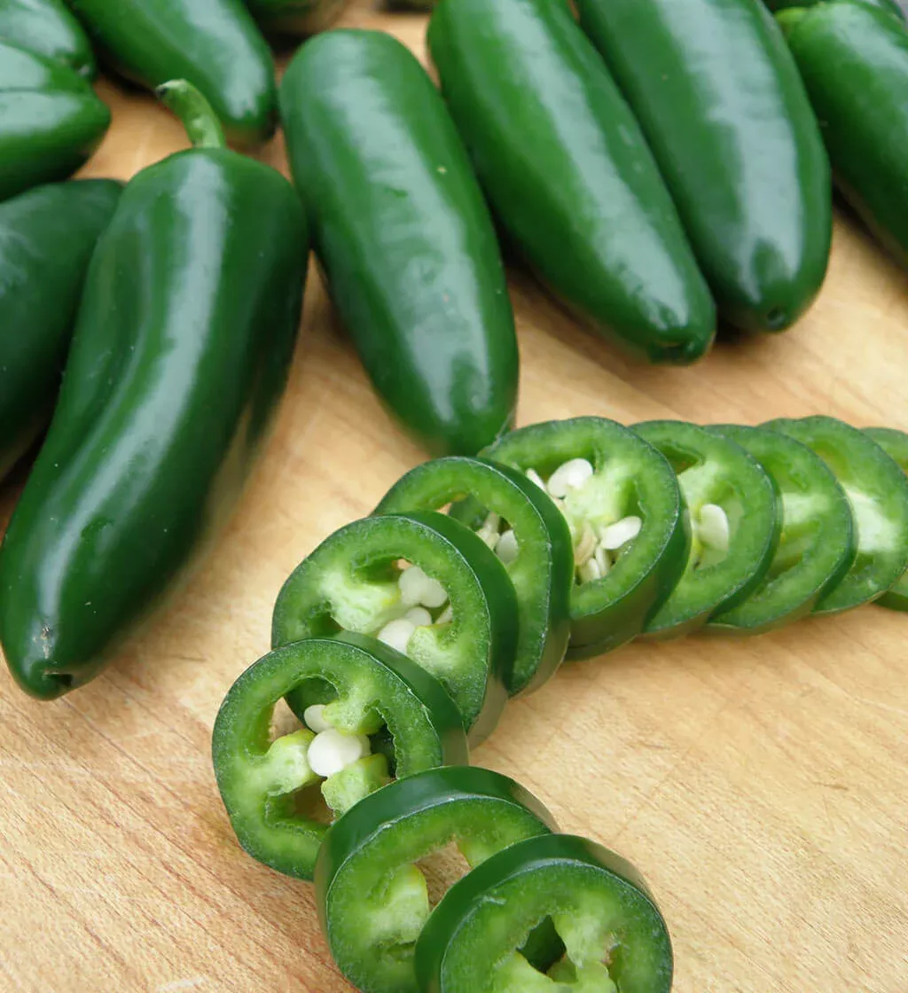Jalapeño - 4" pot