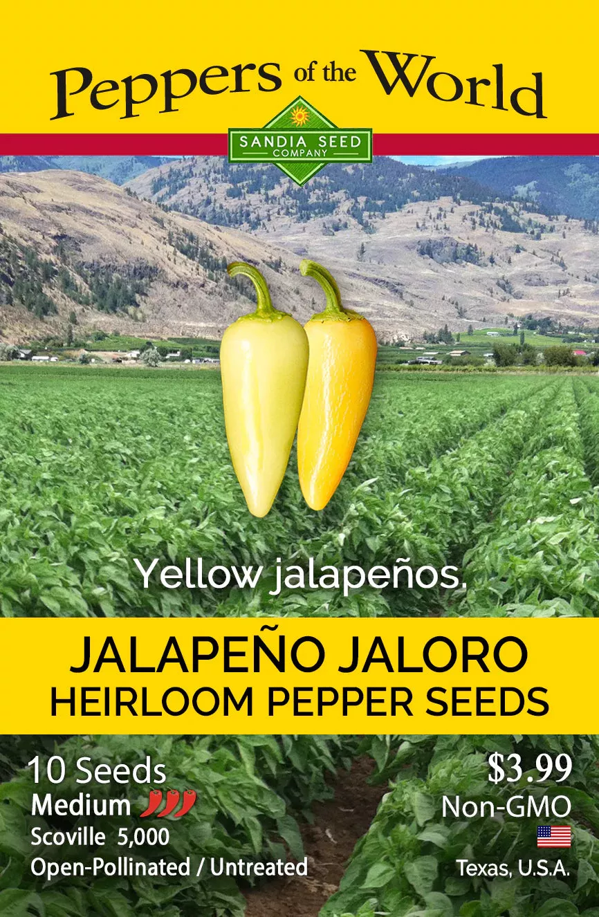 Jalapeno Jaloro Pepper Seed