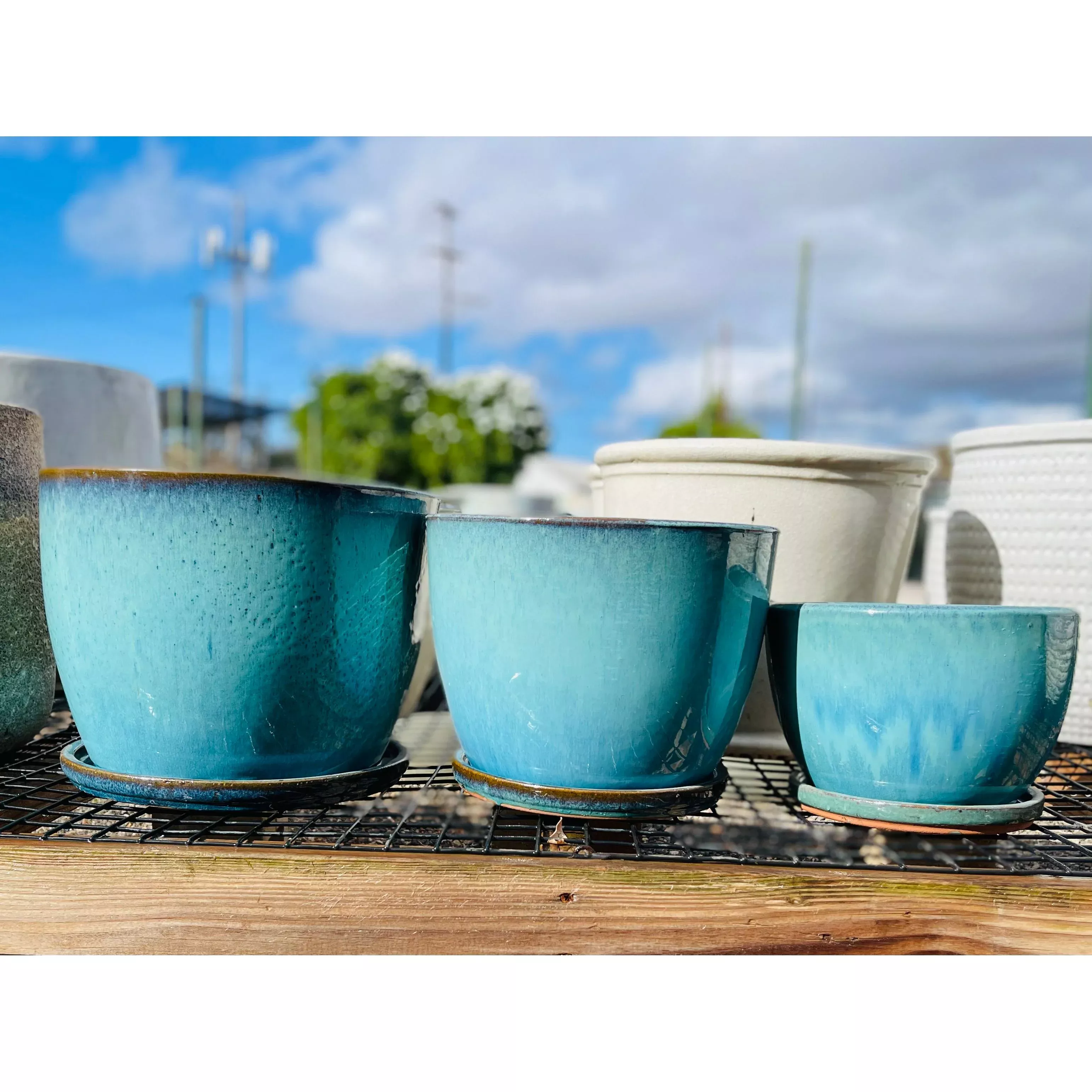 Jefferson Planters