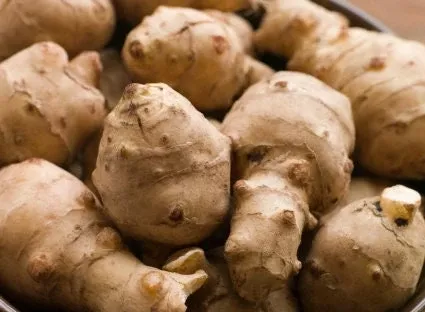 Jerusalem Artichoke Seeds