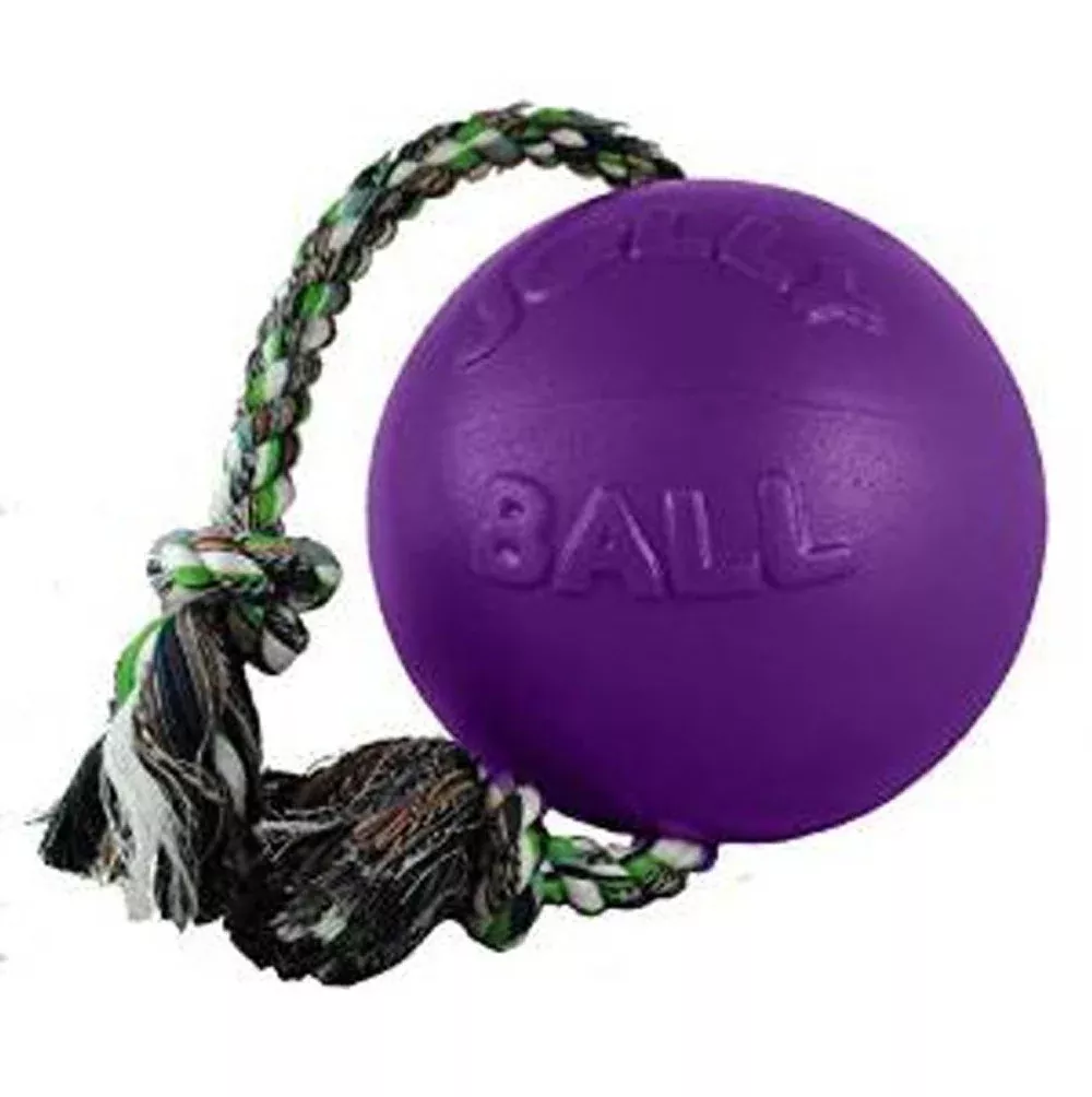 Jolly Pet, Romp-N-Roll Jolly Ball, Purple, 6"