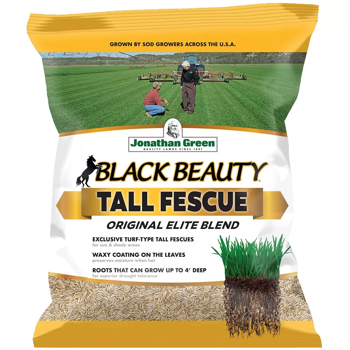 Jonathan Green Black Beauty Tall Fescue Grass Seed Mix - 3lb